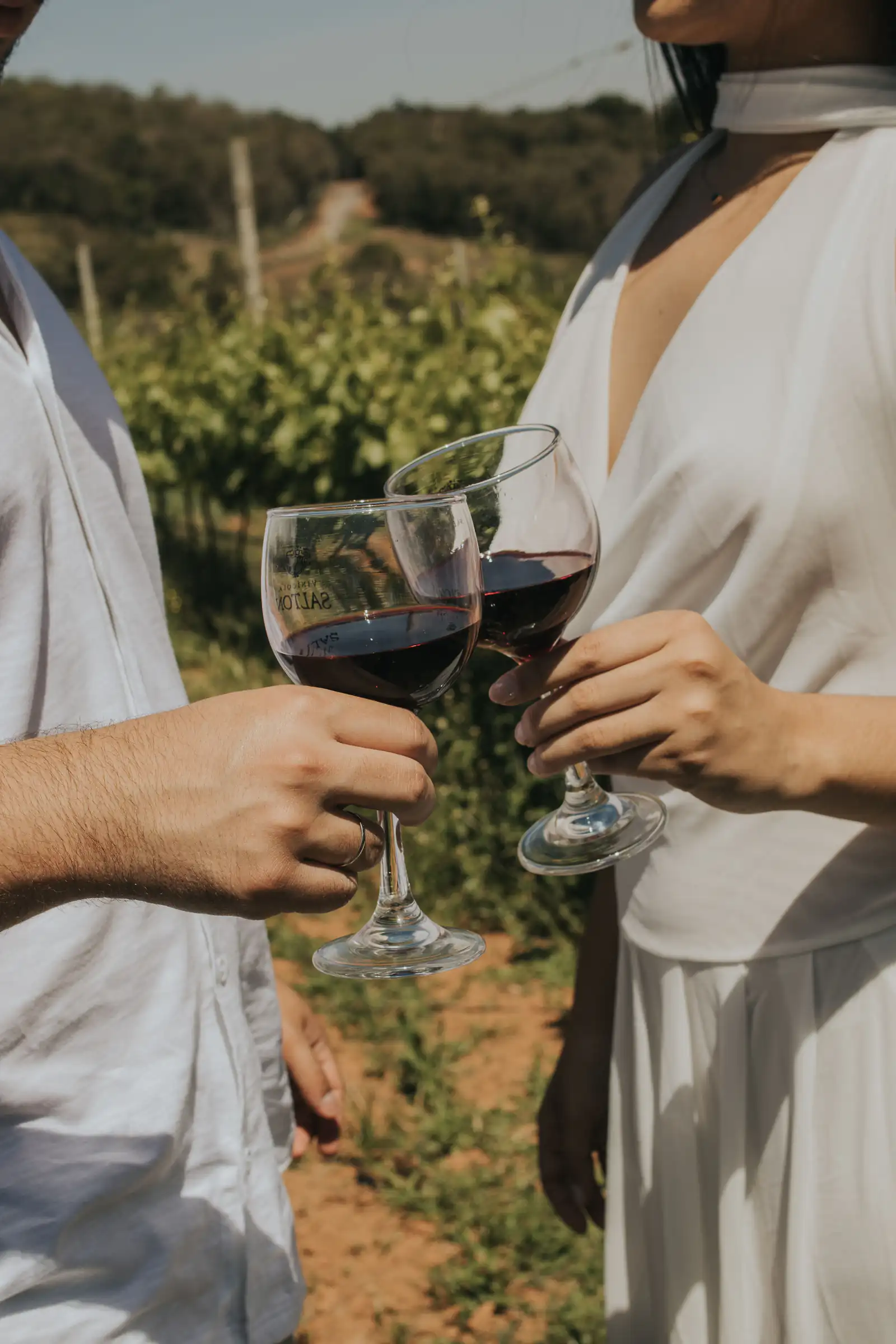 Städte & Wein